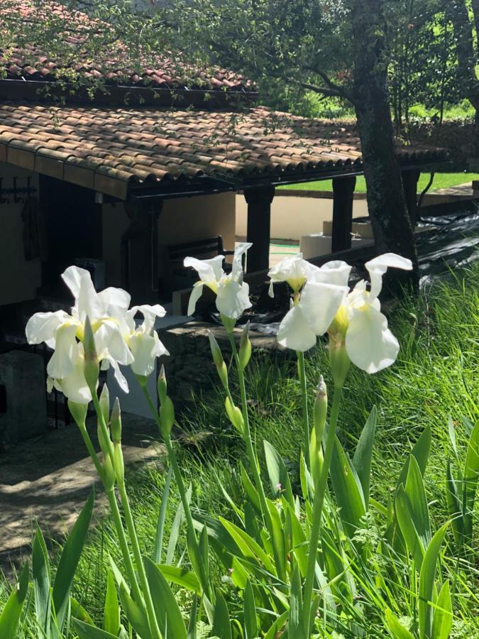 Casa Rural En Plena Naturaleza Lic Uvtr1524 Eguillor المظهر الخارجي الصورة