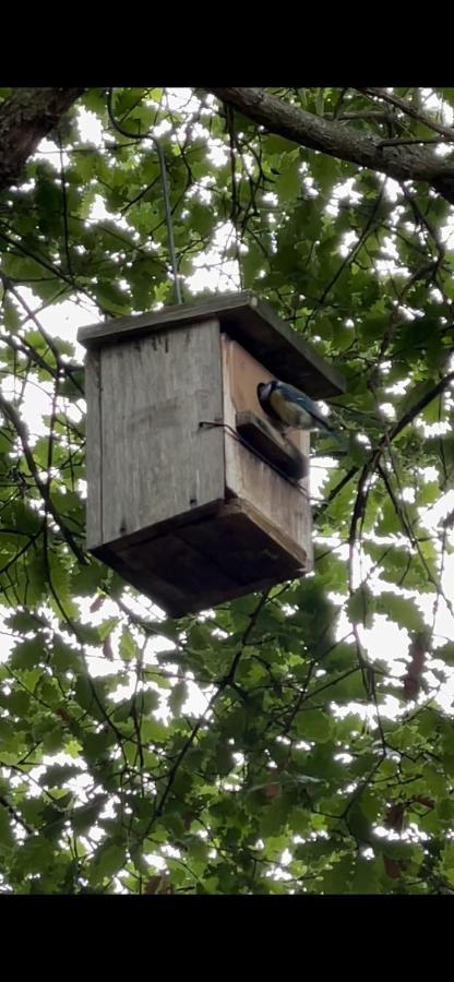 Casa Rural En Plena Naturaleza Lic Uvtr1524 Eguillor المظهر الخارجي الصورة